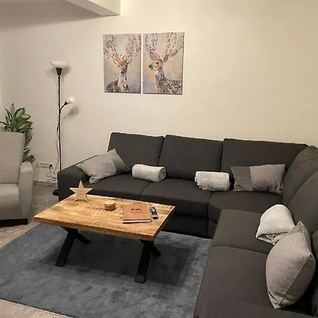 Appartement-hollenstein-mit-dachstudio-auf-2-etagen شقة