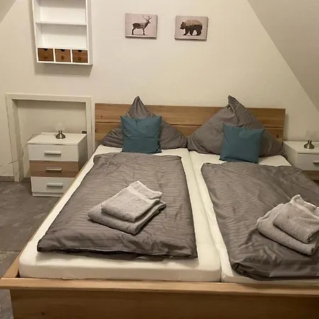 Appartement-hollenstein-mit-dachstudio-auf-2-etagen Appartement *