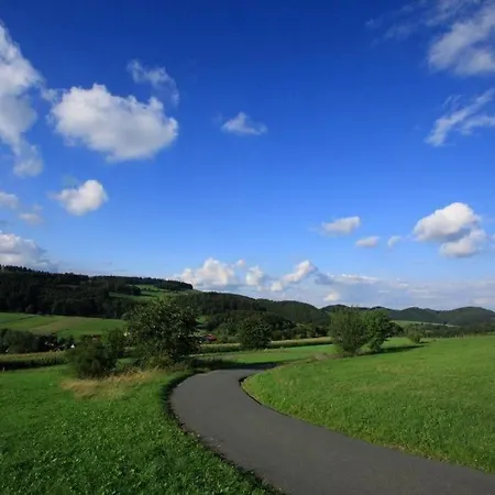 Appartement-hollenstein-mit-dachstudio-auf-2-etagen *