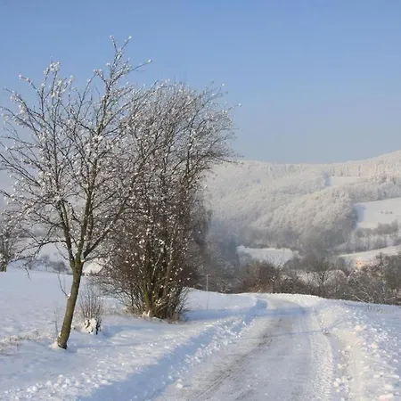 Appartement-hollenstein-mit-dachstudio-auf-2-etagen * فيلنغن