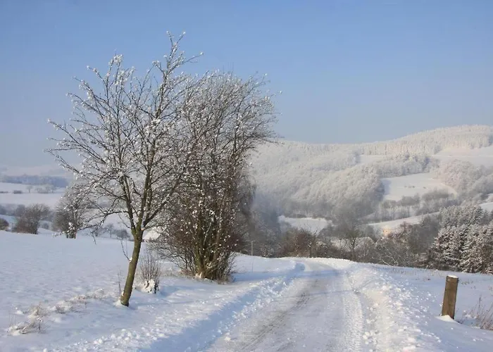 Appartement-hollenstein-mit-dachstudio-auf-2-etagen * فيلنغن